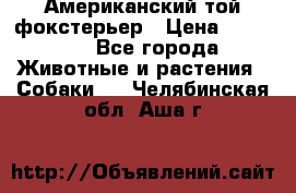 Американский той фокстерьер › Цена ­ 25 000 - Все города Животные и растения » Собаки   . Челябинская обл.,Аша г.